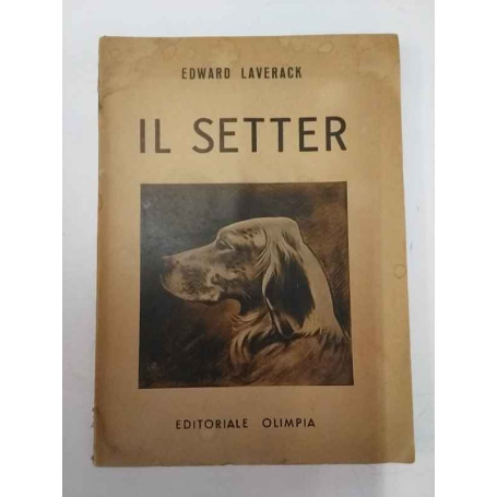 Il setter