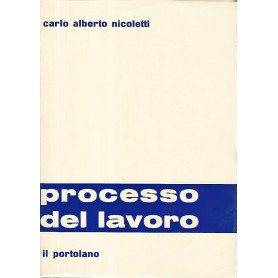 Processo del lavoro