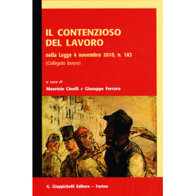 Il contenzioso del lavoro