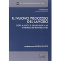 Il nuovo processo del lavoro