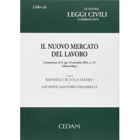 Il nuovo mercato lavoro