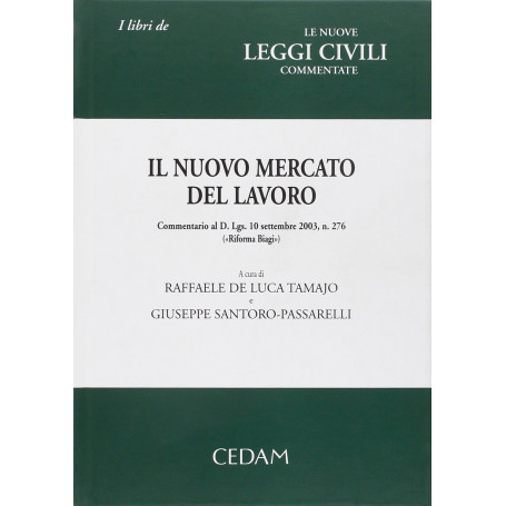Il nuovo mercato lavoro