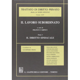 Il lavoro subordinato. Il diritto sindacale: Vol. 1