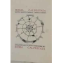 Roma calpestata