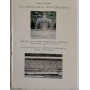 La ceramica anversana