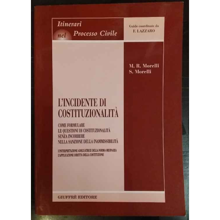 L'incidente di costituzionalità