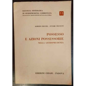 Possesso e azioni possessorie nella giurisprudenza