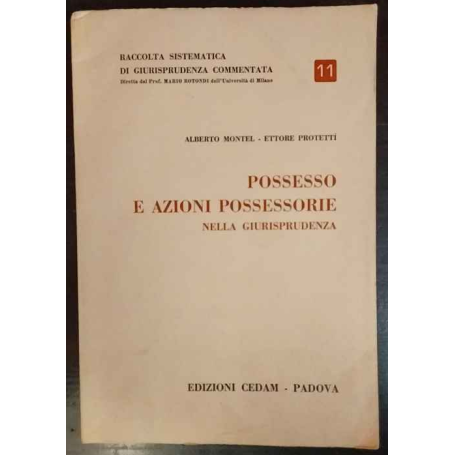 Possesso e azioni possessorie nella giurisprudenza