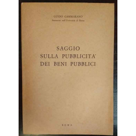 Saggio sulla pubblicità dei beni pubblici