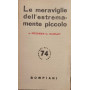 Le meraviglie dell'estremamente piccolo