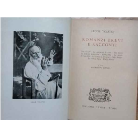 Romanzi brevi e racconti