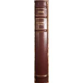 Librisaggi
