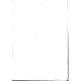 Librisaggi