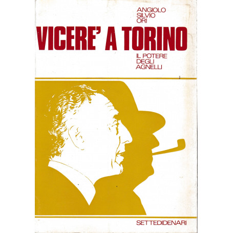 Viceré a Torino. Il potere degli Agnelli