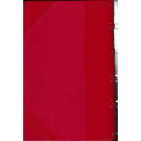 Librisaggi