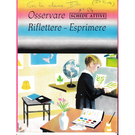 Schede attive Osservare - Riflettere - Esprimere. 24 schede doppie grandi