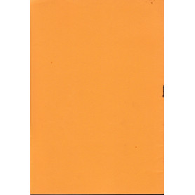 Librisaggi