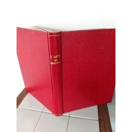 L'arte nel rinascimento  volume VI