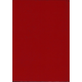 Librisaggi