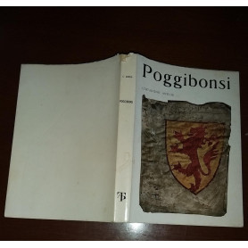 Librisaggi