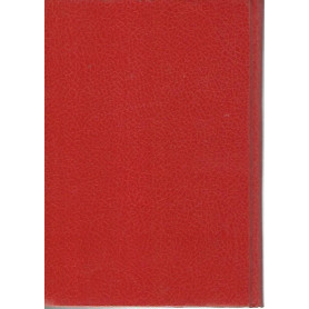 Librisaggi