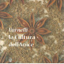 Vernelli la cultura dell'anice