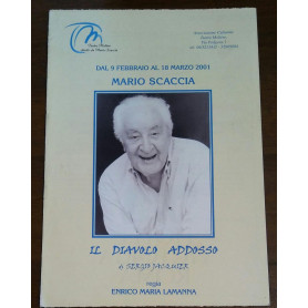 Librisaggi
