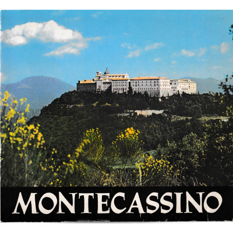 Montecassino (Italiano  Inglese  Francese  Tedesco  Spagnolo e Polacco)