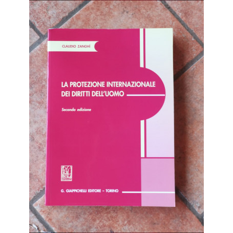 La protezione internazionale dei diritti dell'uomo