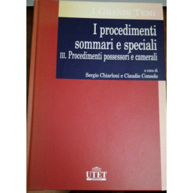 I procedimenti sommari e speciali. III. Procedimenti possessori e camerali