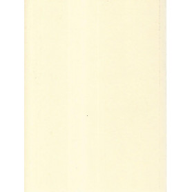 Librisaggi
