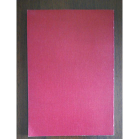 Librisaggi