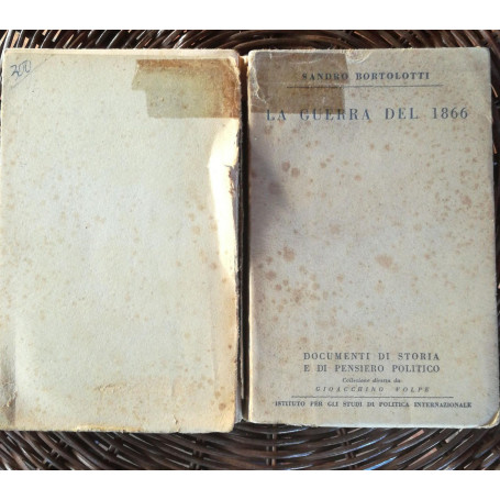 La guerra del 1866