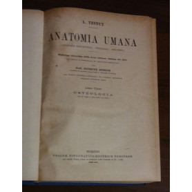 ANATOMIA UMANA