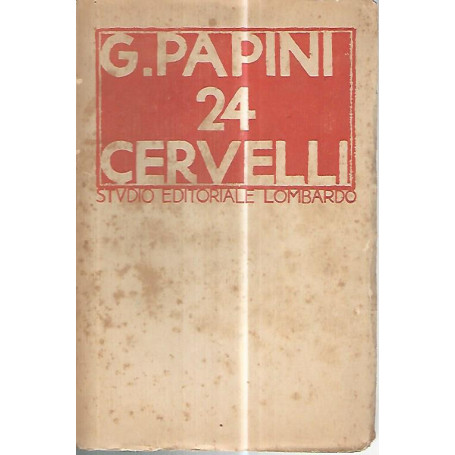 24 cervelli