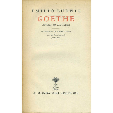 Goethe storia di un uomo