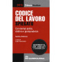 Codice del lavoro spiegato con esempi pratici