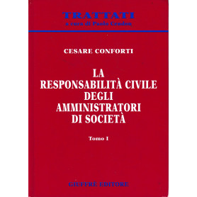 La responsabilità  civile degli amministratori di società