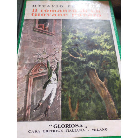 Il romanzo di un giovane povero