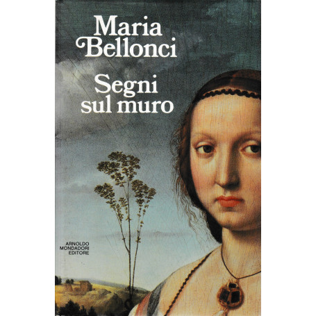 Segni sul muro