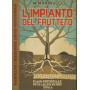 L'impianto del frutteto