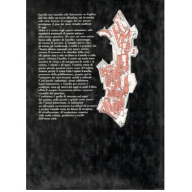 Librisaggi