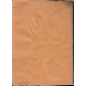 Librisaggi