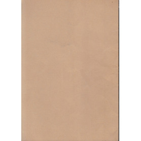 Librisaggi