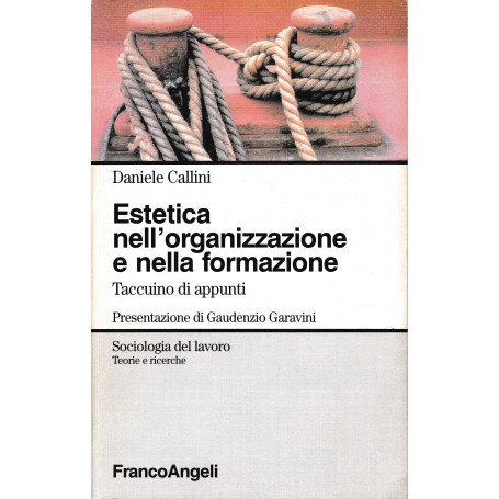 Estetica nell'organizzazione e nella formazione. Taccuino di appunti