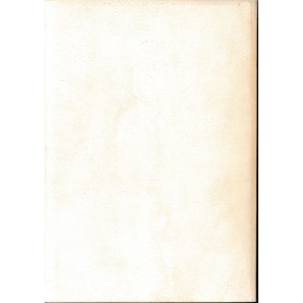 Librisaggi