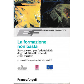 La formazione non basta. Servizi e reti per l'adattabilità  degli adulti nelle aziende e nei territori