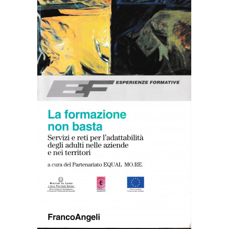 La formazione non basta. Servizi e reti per l'adattabilità degli adulti nelle aziende e nei territori