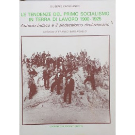 La costruzione del "Partito Nuovo" in una provincia del Sud. Appunti e documenti sul P.C.I di Caserta: 1944 - 1947