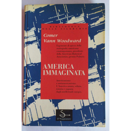 America Immaginata